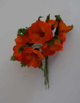 Amalfi, orange ( 24 Bund)